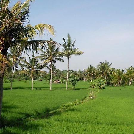 Green Field Hotel And Bungalow Ubud Dış mekan fotoğraf