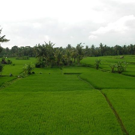 Green Field Hotel And Bungalow Ubud Dış mekan fotoğraf