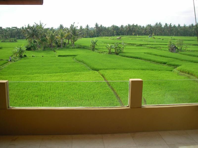 Green Field Hotel And Bungalow Ubud Dış mekan fotoğraf