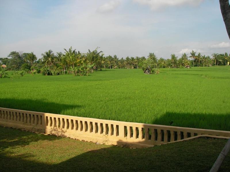 Green Field Hotel And Bungalow Ubud Dış mekan fotoğraf