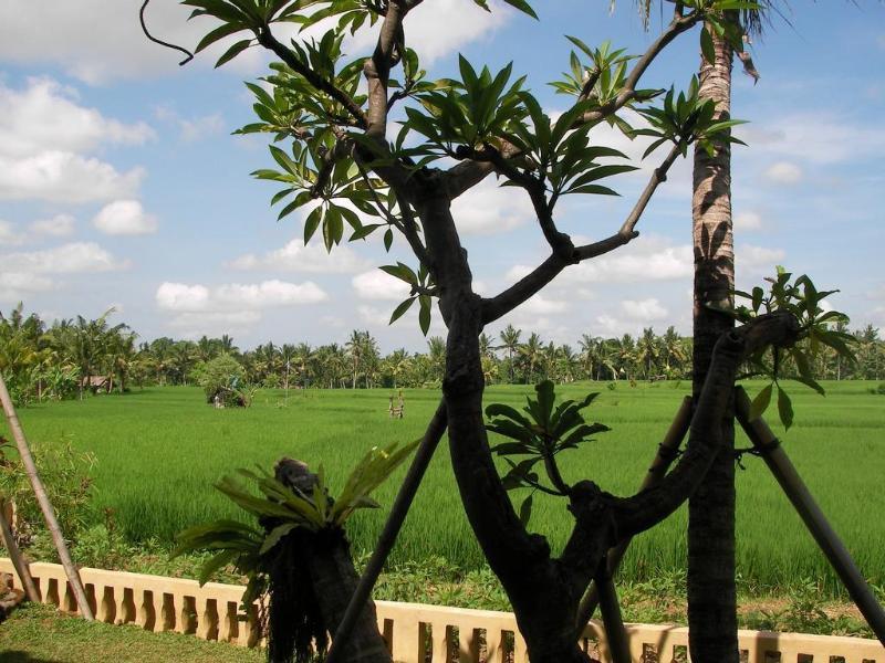 Green Field Hotel And Bungalow Ubud Dış mekan fotoğraf