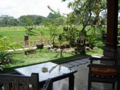 Green Field Hotel And Bungalow Ubud Dış mekan fotoğraf